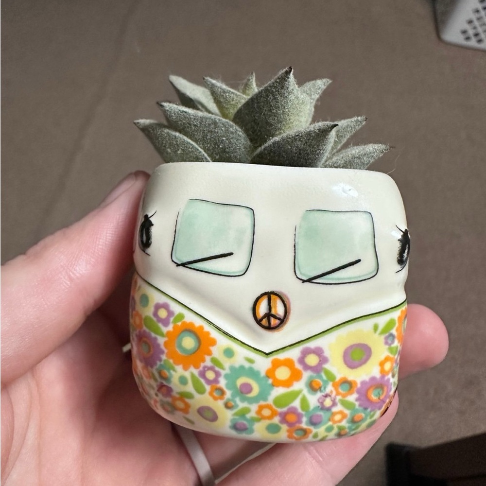 Natural Life Be Happy hippie van faux succulent